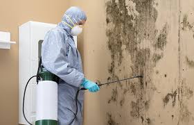 Best Biohazard Mold Removal  in Beverly Hills, CA